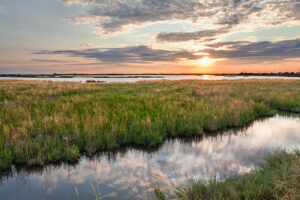Saline di Comacchio e Tresigallo 2025