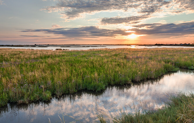 Saline di Comacchio e Tresigallo 2025