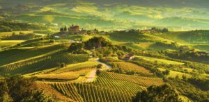 Langhe: Tour del Roero - Partenza di gruppo