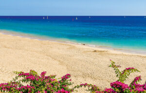 FUERTEVENTURA - MORRO JABLE/PLAYA DE JANDIA BRAVO FUERTEVENTURA PRINCESS