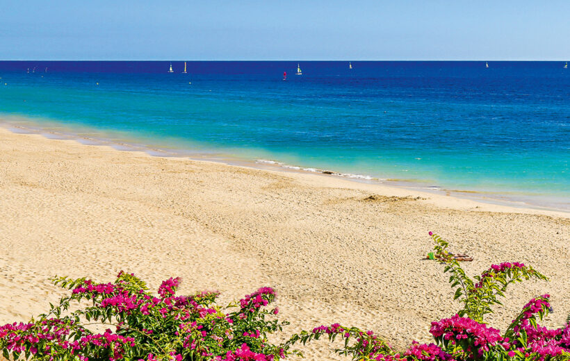 FUERTEVENTURA – MORRO JABLE/PLAYA DE JANDIA BRAVO FUERTEVENTURA PRINCESS