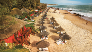 Senegal - Royal Horizon Baobab